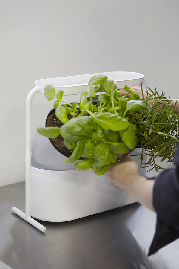 Umbra Кашпо для кімнатних рослин 34х34,5х14,3 см біле Giardino | https://grandposuda.com.ua