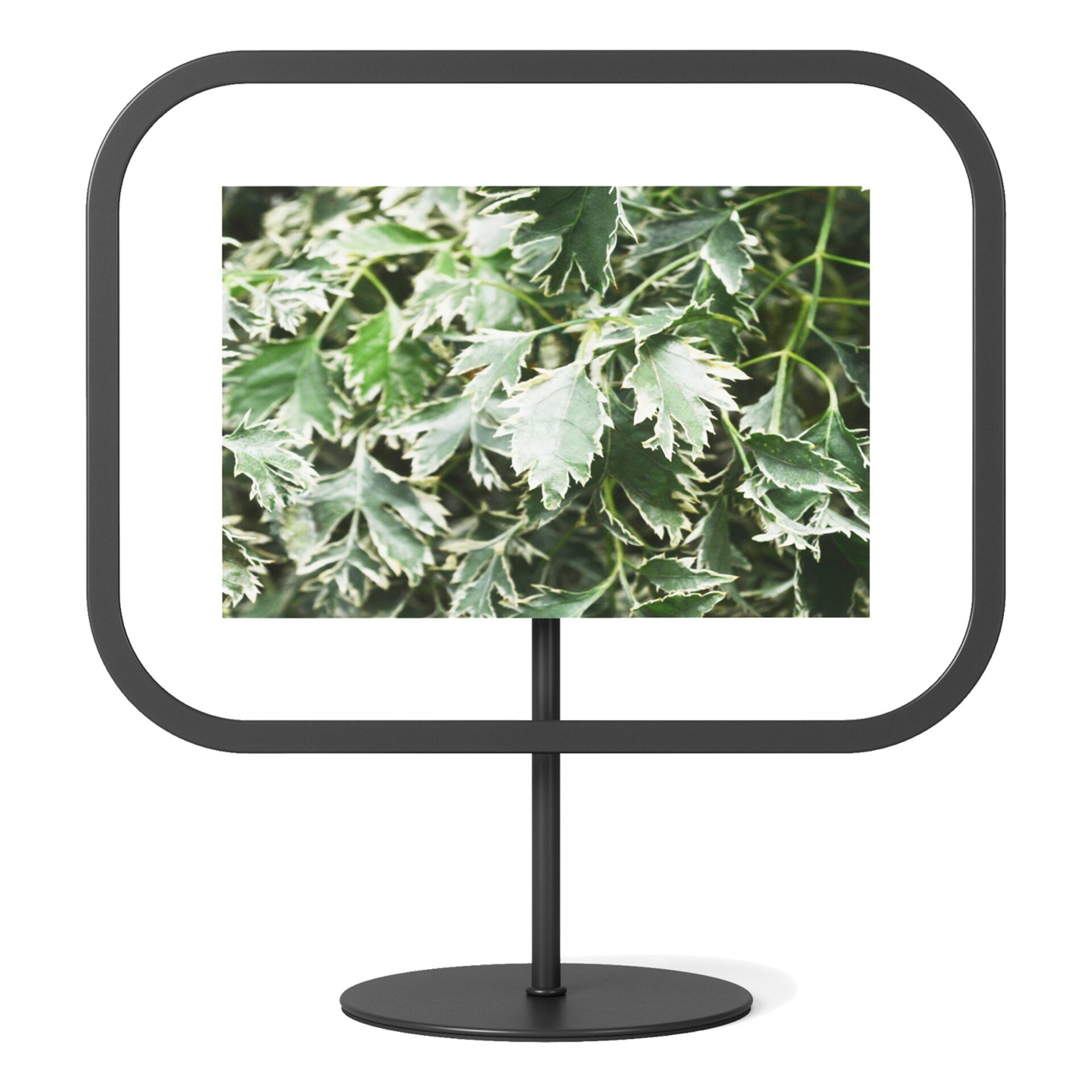 Umbra Фоторамка 22 х 10 х 27 см черная Infinity Sqround | https://grandposuda.com.ua