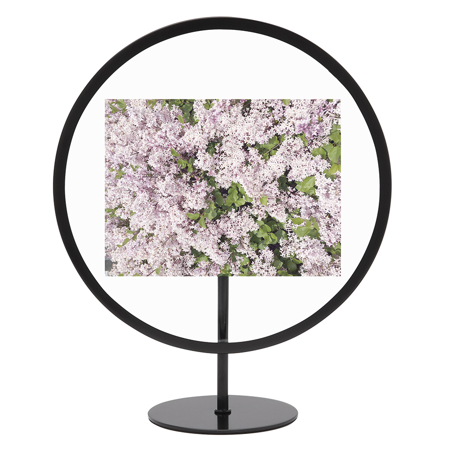 Umbra Фоторамка infinity 10 x 15 см чорна | https://grandposuda.com.ua