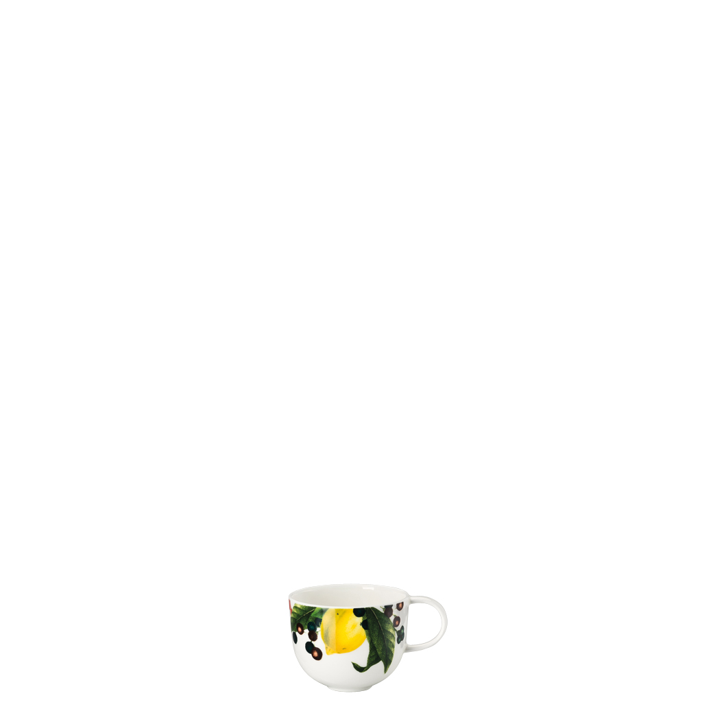 Rosenthal Чашка для эспрессо 0,08 л Brillance | https://grandposuda.com.ua