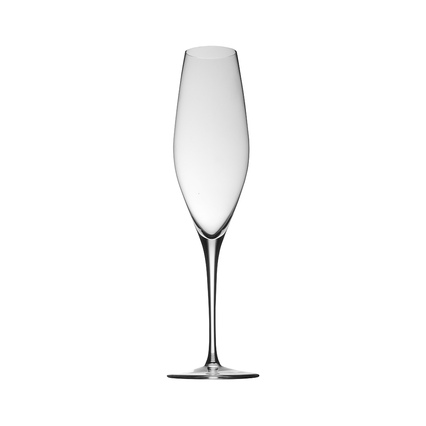 Rosenthal Бокал для шампанского 25 см Fuga | https://grandposuda.com.ua
