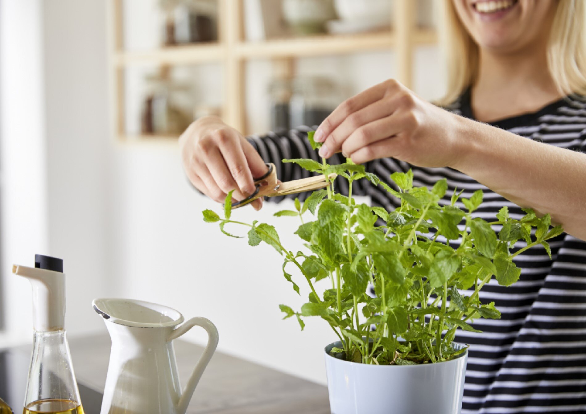 Mepal Двойной горшок для растений Nordic Green Hydro Herbs | https://grandposuda.com.ua