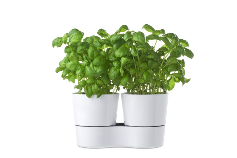Mepal Двойной горшок для растений Nordic Green Hydro Herbs | https://grandposuda.com.ua