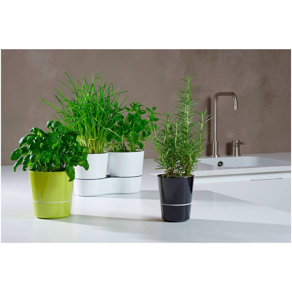 Mepal Двойной горшок для растений Nordic Green Hydro Herbs | https://grandposuda.com.ua