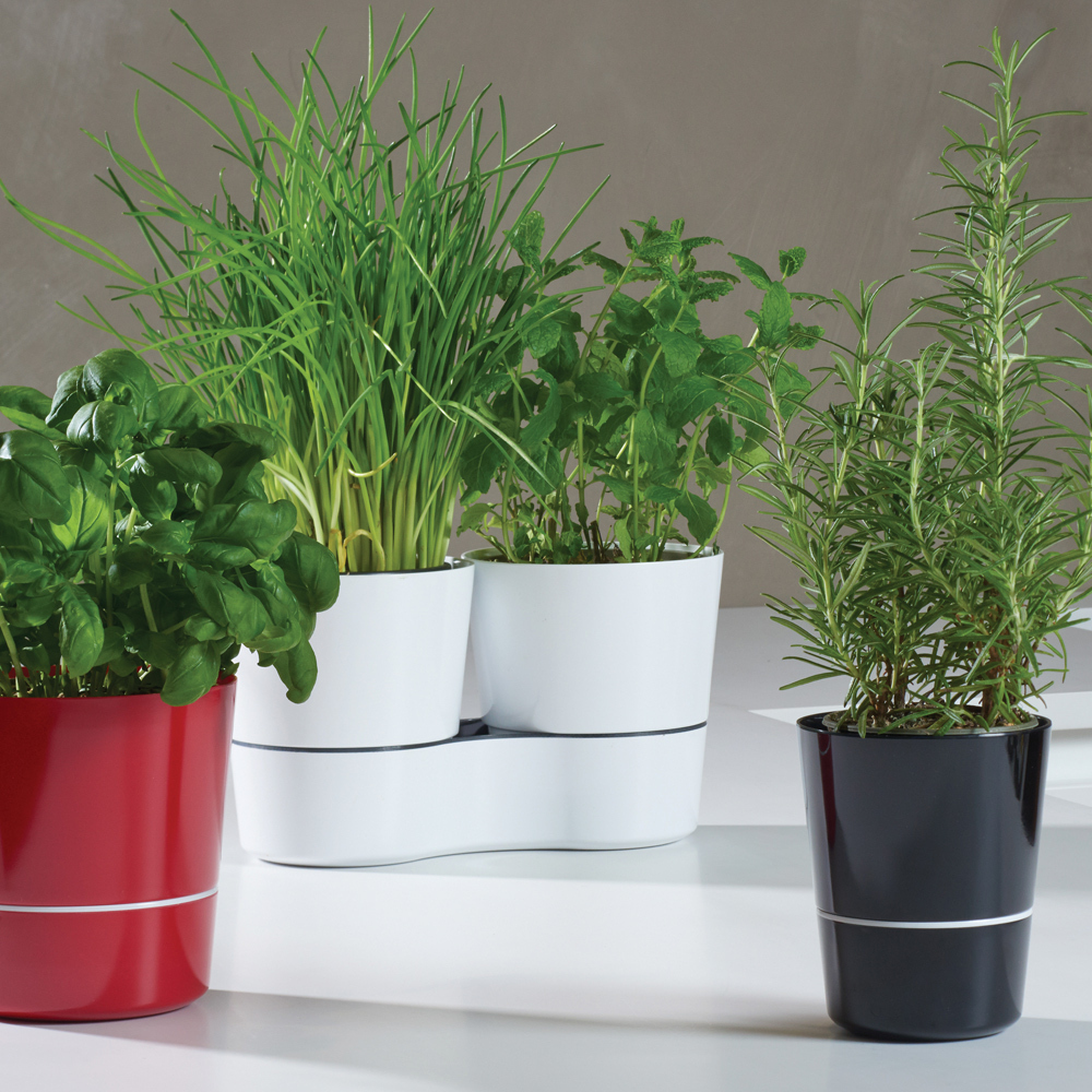Mepal Двойной горшок для растений Nordic Green Hydro Herbs | https://grandposuda.com.ua