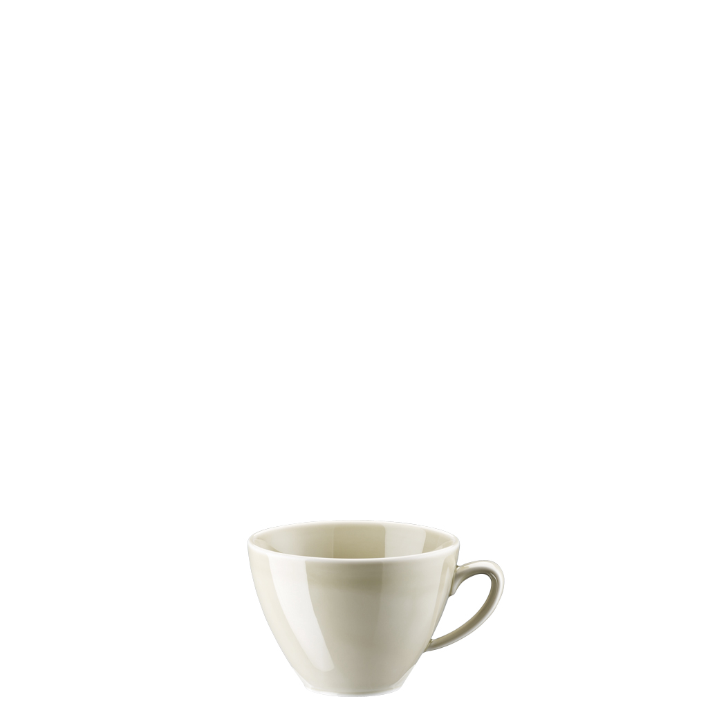 Rosenthal Чашка для чая / кофе 0,29 л Mesh Colours | https://grandposuda.com.ua