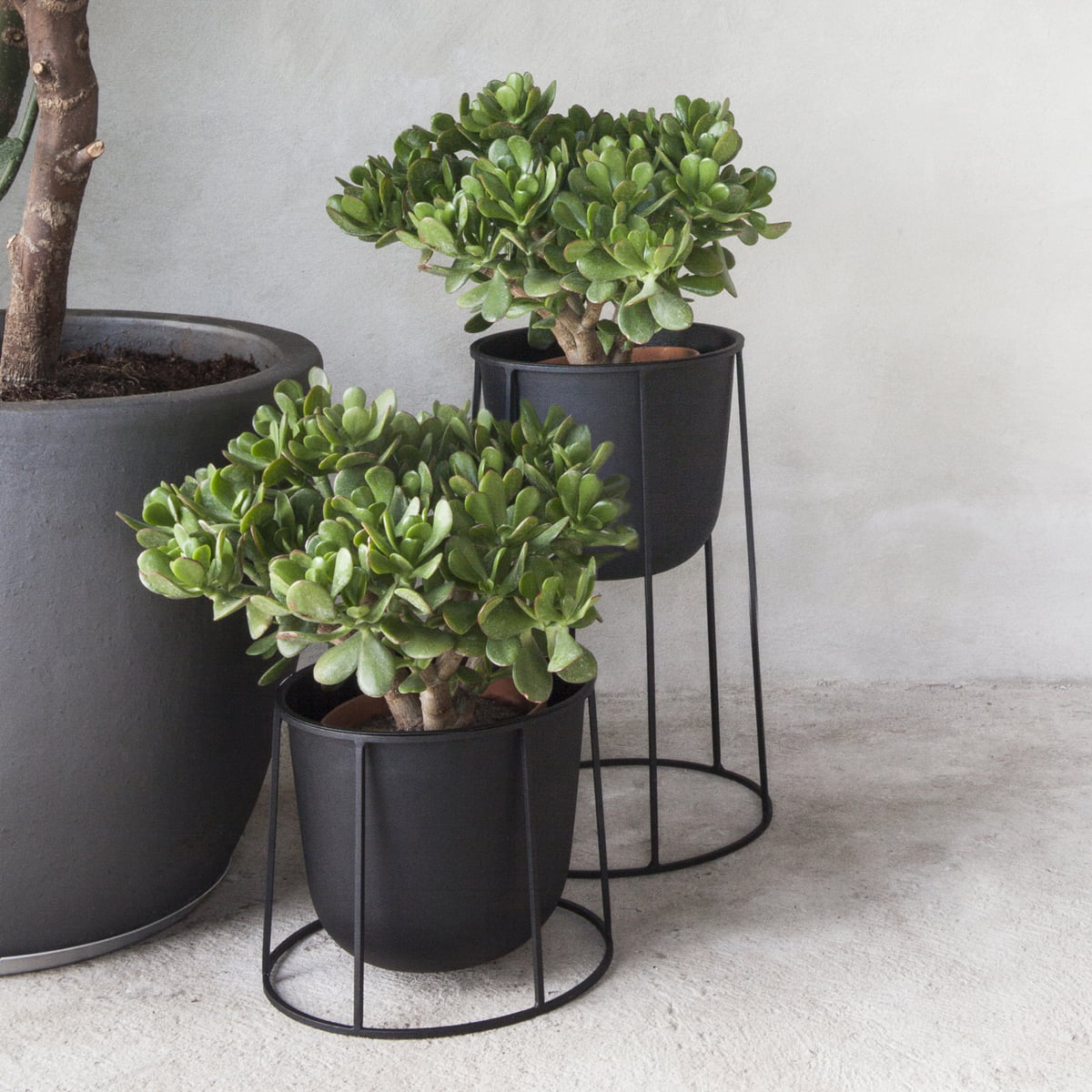 Квітковий горщик 17x23x23x17 см чорний Wire Menu Квітковий горщик 17x23x23x17 см чорний Wire Menu | https://grandposuda.com.ua