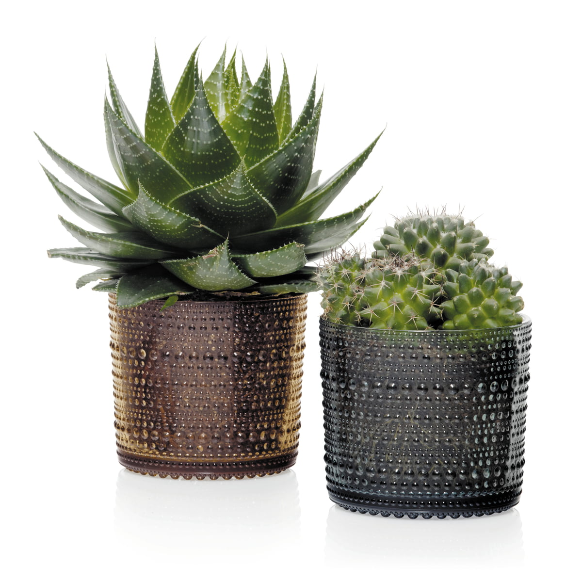 Iittala Ємність для зберігання 5,7х11,6 см світло-блакитна Kastehelmi | https://grandposuda.com.ua