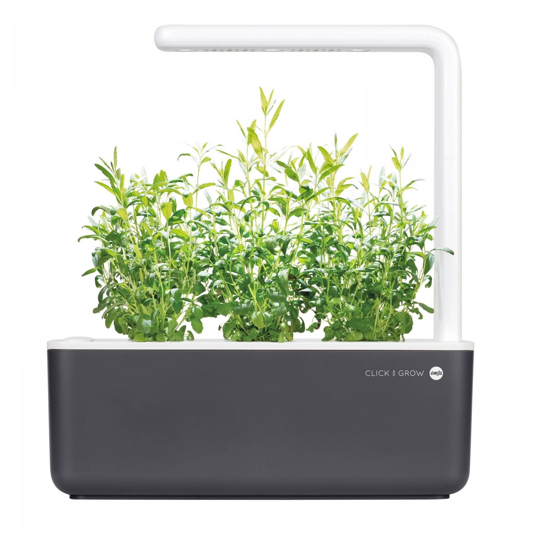 Горшок для растений 30х12х21 см серый Click & Grow Emsa | https://grandposuda.com.ua