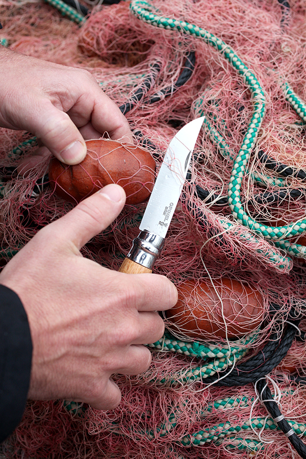 Opinel Нож складной 7 см металлик/дерево Stainless Steel | https://grandposuda.com.ua