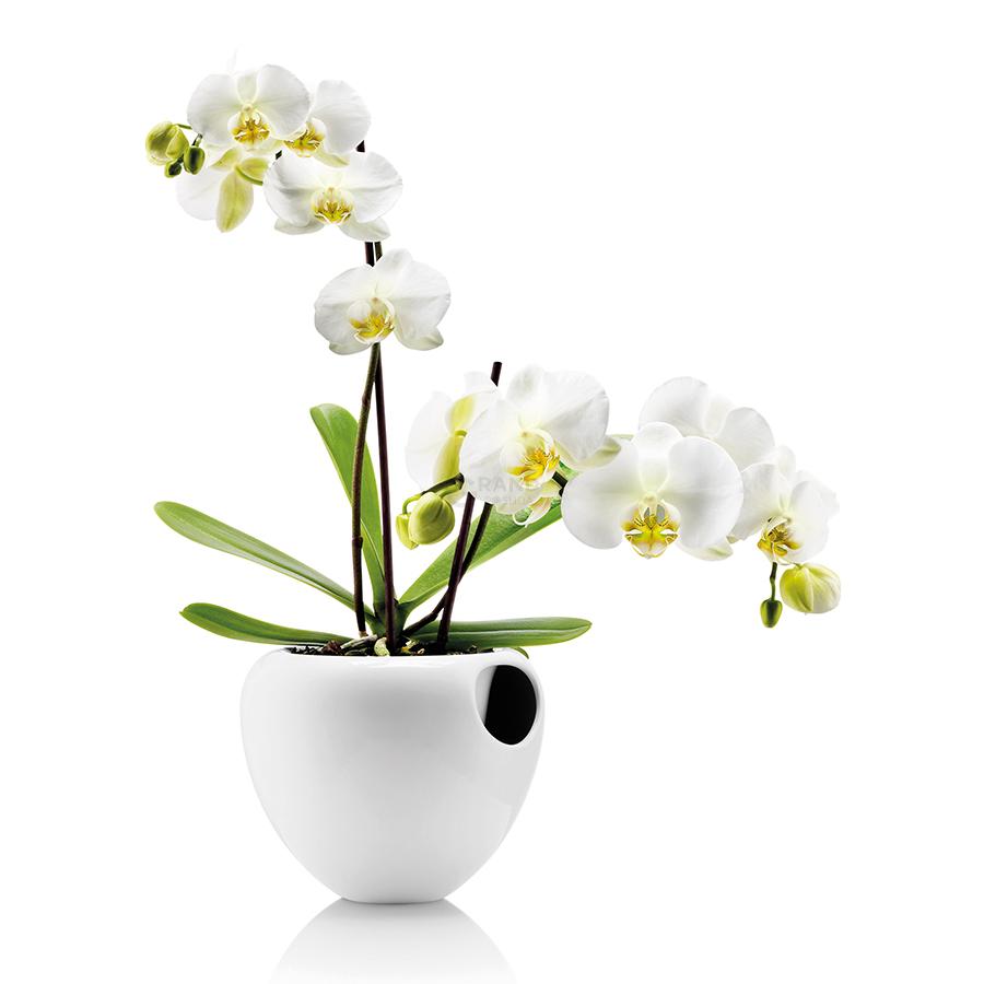 Eva Solo Горщик для орхідей 17 см білий Orchideentopf | https://grandposuda.com.ua