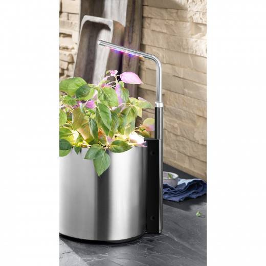 WMF Світильник для електричного горщика, 12 х 1.8 х 50 см Ambient | https://grandposuda.com.ua