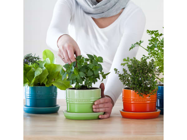 Le Creuset Горшок для комнатных растений 13 см Marseille | https://grandposuda.com.ua