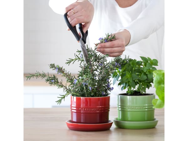 Le Creuset Горшок для комнатных растений 13 см Marseille | https://grandposuda.com.ua