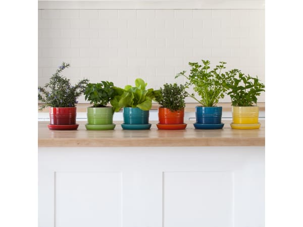Le Creuset Горшок для комнатных растений 13 см Palm | https://grandposuda.com.ua