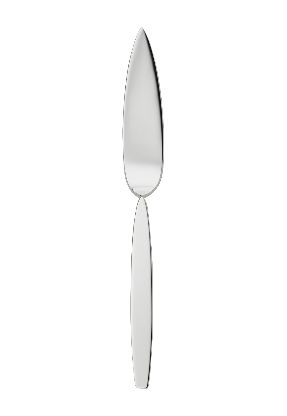 Нож для рыбы 23 см, серебряный 12