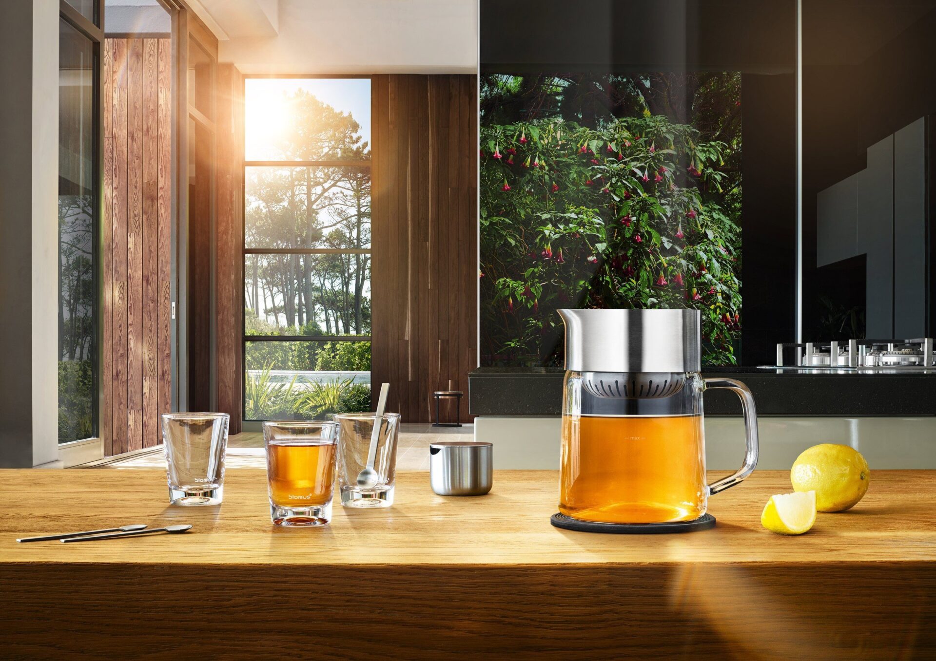 Blomus Чайник для заварювання Tea-Jane | https://grandposuda.com.ua